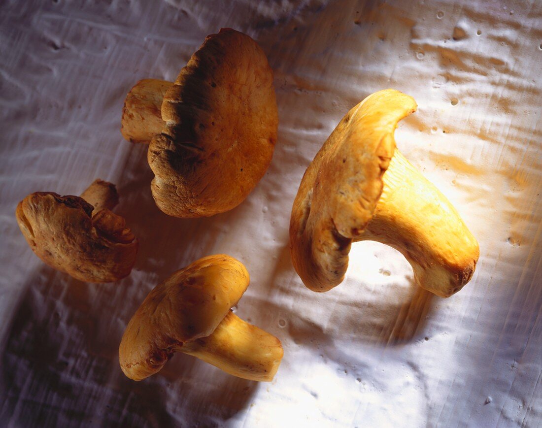 Chanterelles