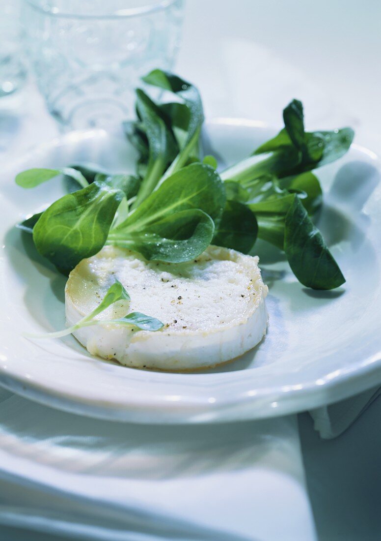 Ziegenkäsescheibe mit Feldsalat