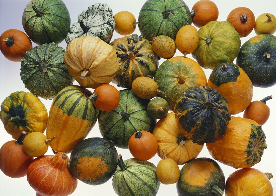 Various types of ornamental gourds