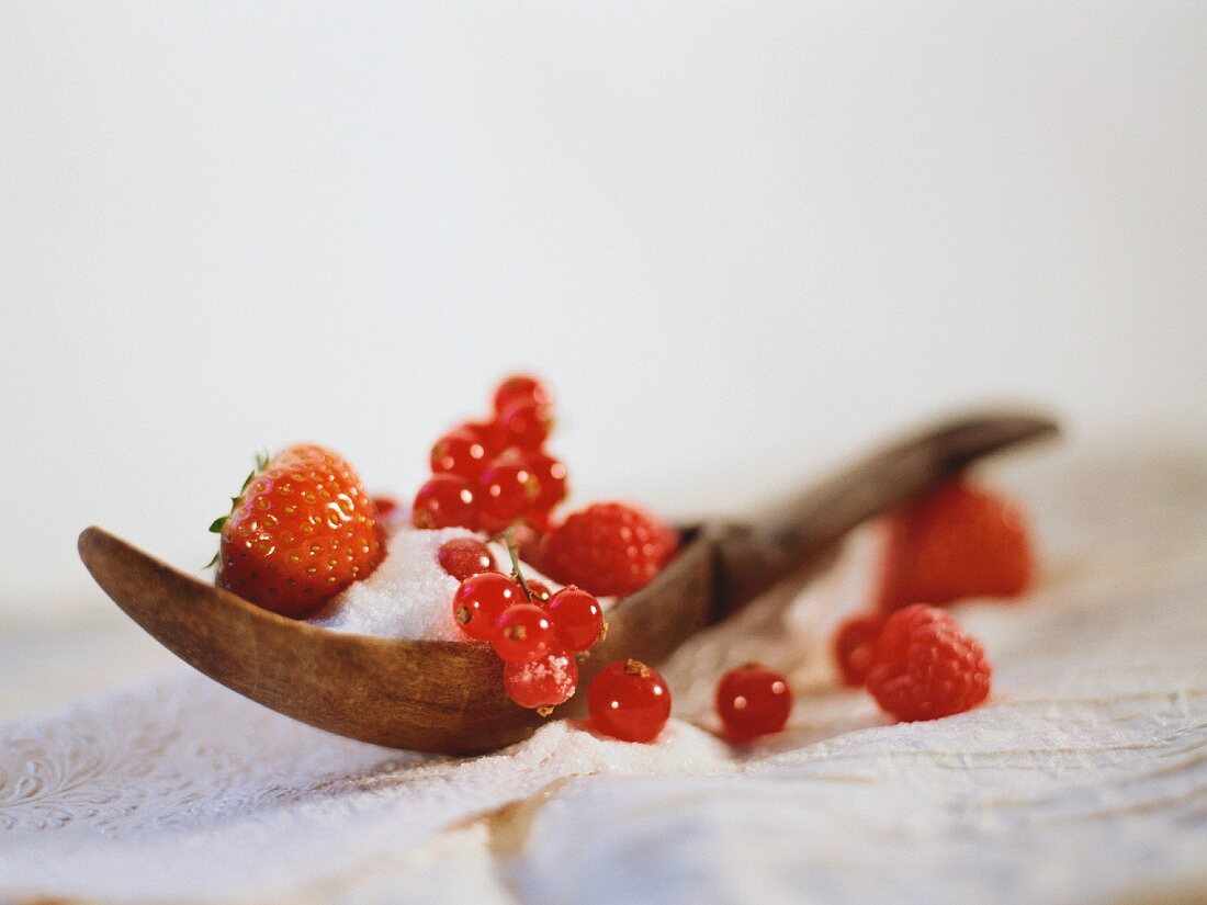 Fresh berries with sugar on wooden spoon