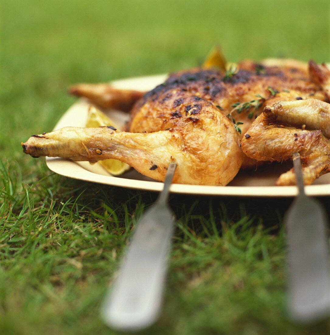 Marinated, grilled chicken on a platter on grass