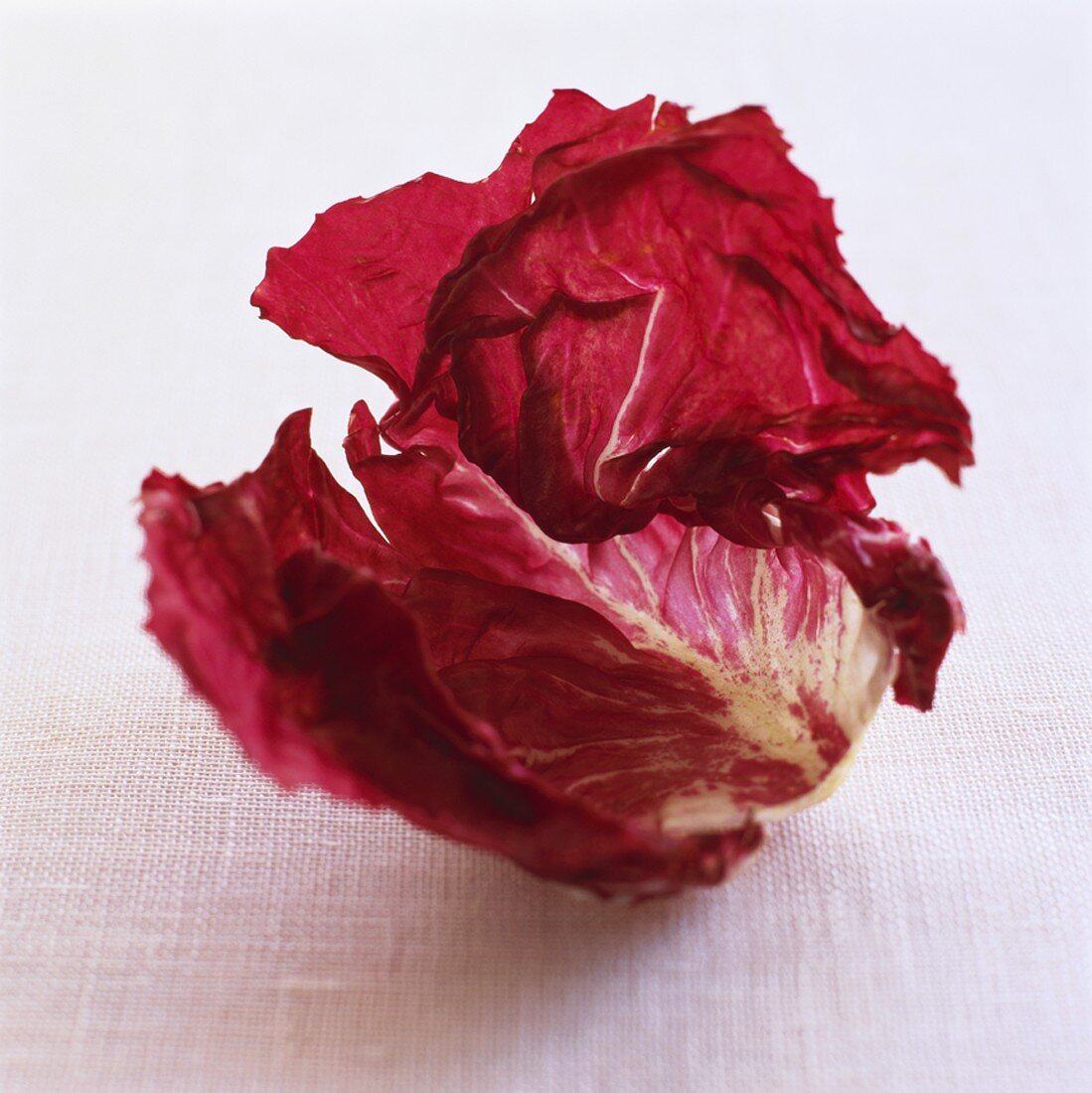 Whole radicchio on white background