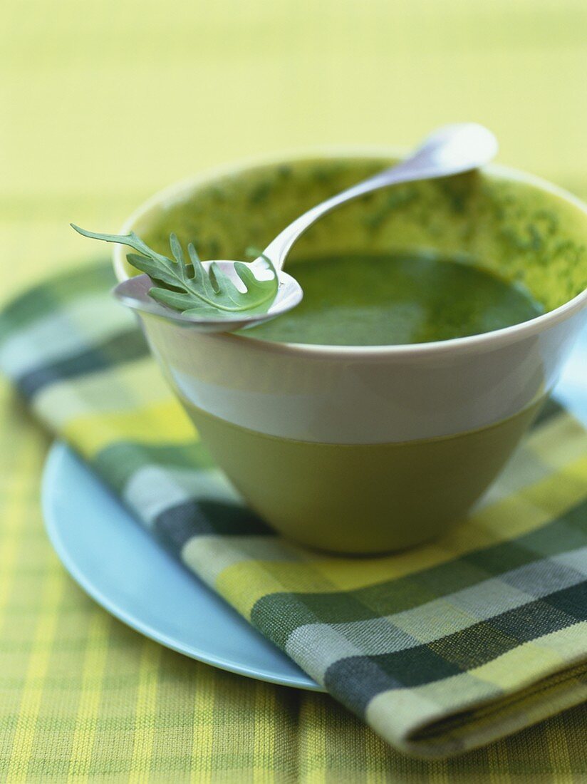 Rucola-Kresse-Pesto mit Pinienkernöl in Porzellanschüssel