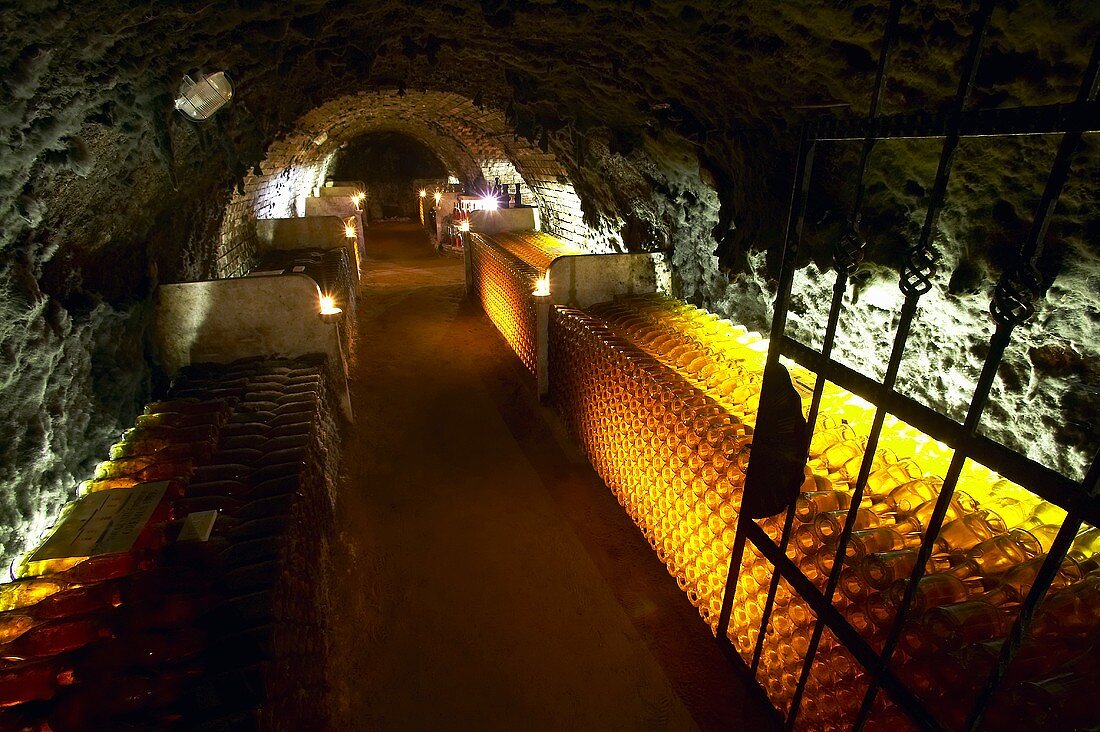 Wine cellar, Oremus Winery, Tolcsva, Hungary
