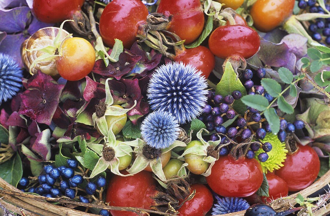 Autumn arrangement with rosehips and globe thistles