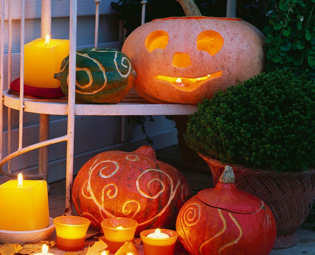 Carved pumpkins and gourds for Halloween