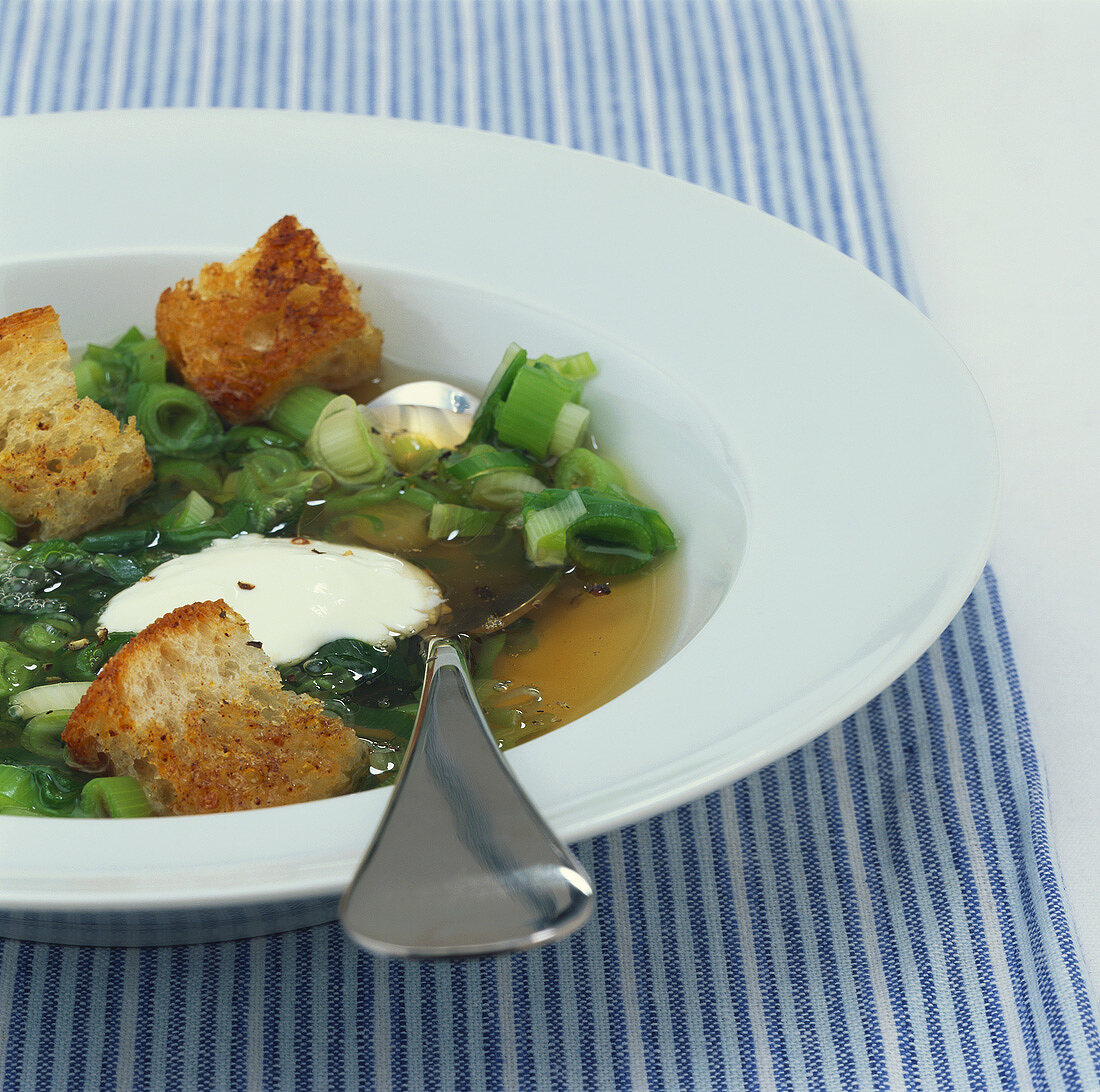 Frühlingszwiebelsuppe mit gerösteten Brotwürfeln