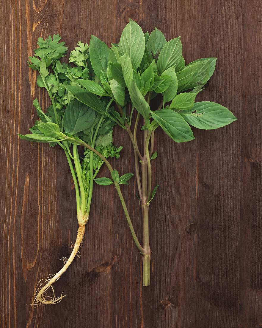 Fresh coriander and fresh Thai basil