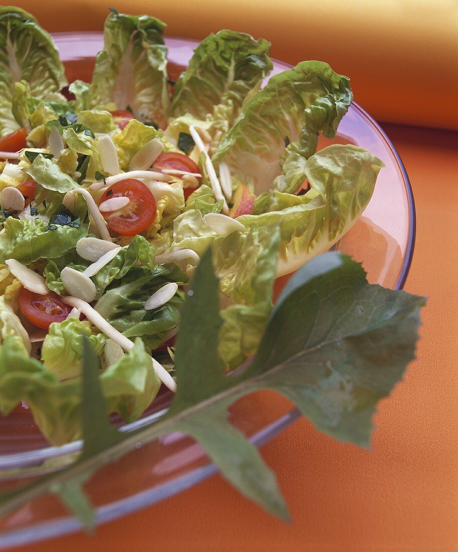 Blattsalat mit Sprossen und Mandelblättchen