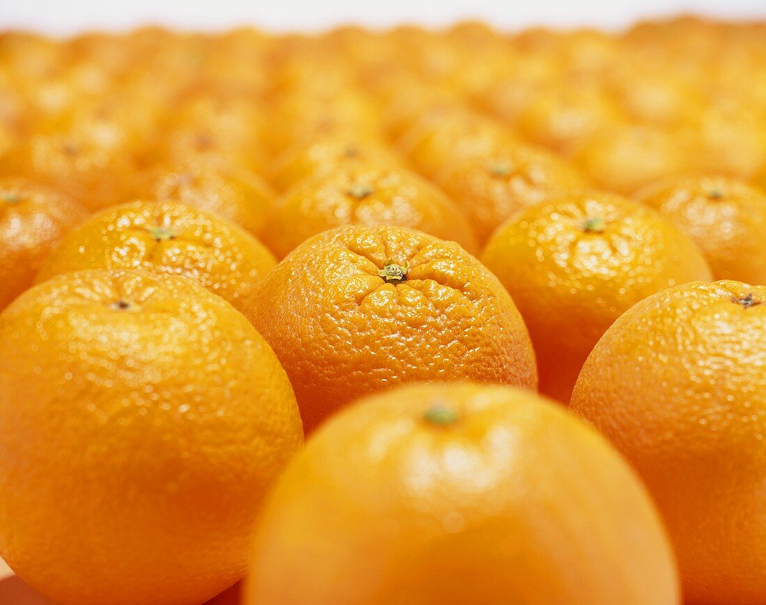Viele Orangen aufgereiht