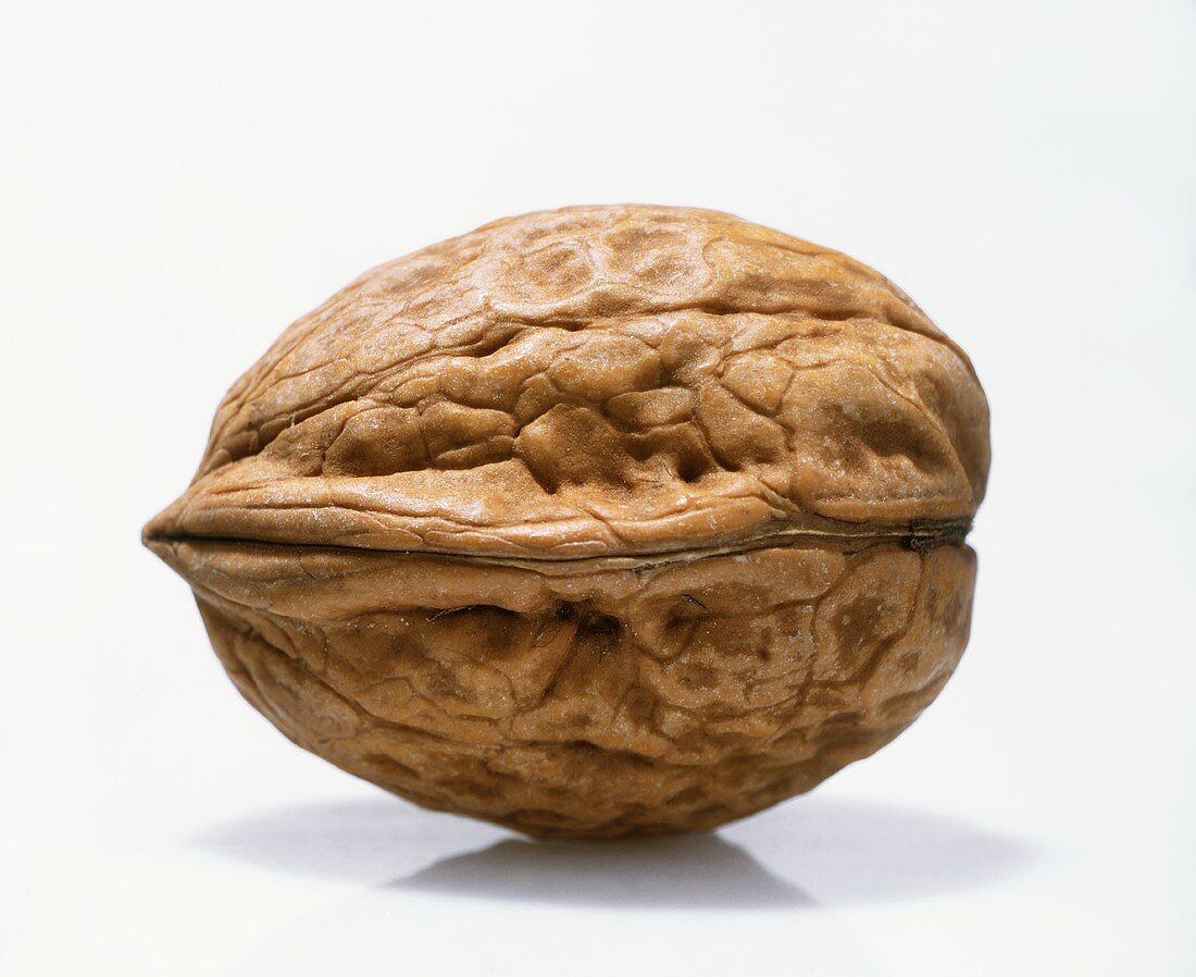 A walnut