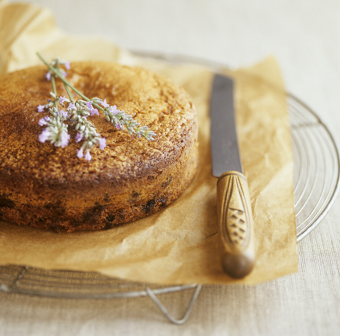 Blueberry cake with lavender