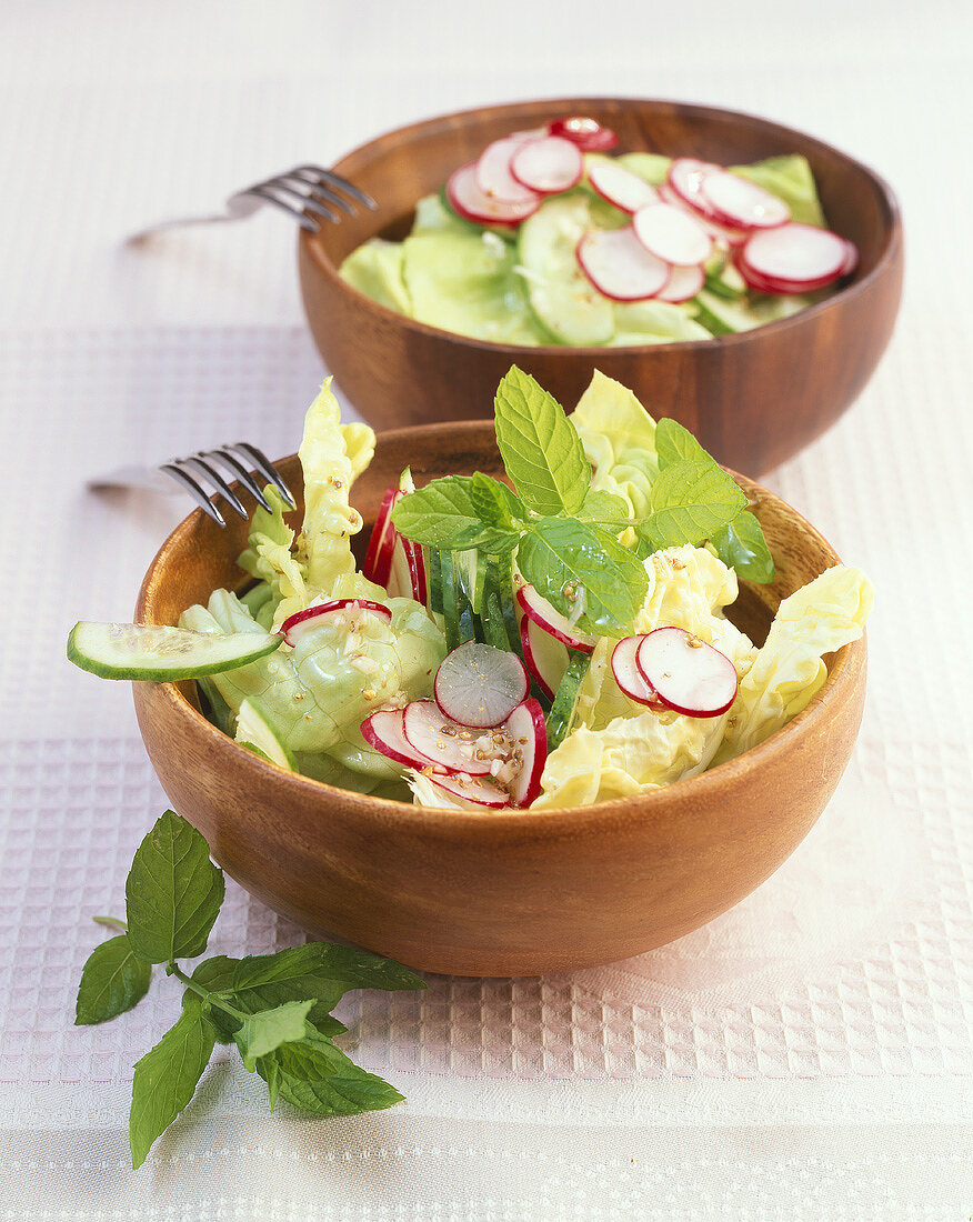 Green salad with radishes and lime and mint dressing