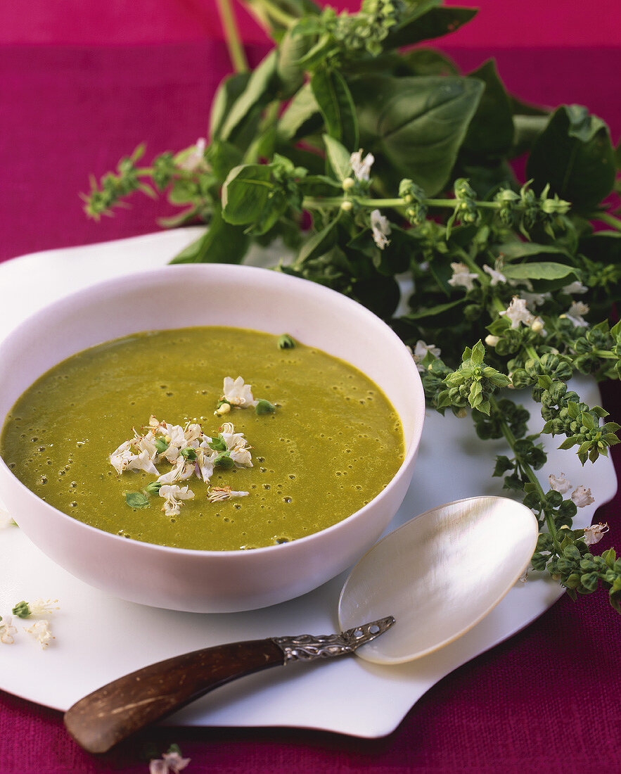 Cold avocado and carrot soup with basil flowers
