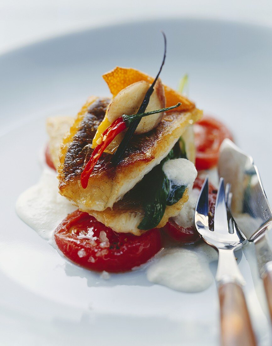 Gebratener Zander auf Tomatenmarinade mit Buttermilchschaum