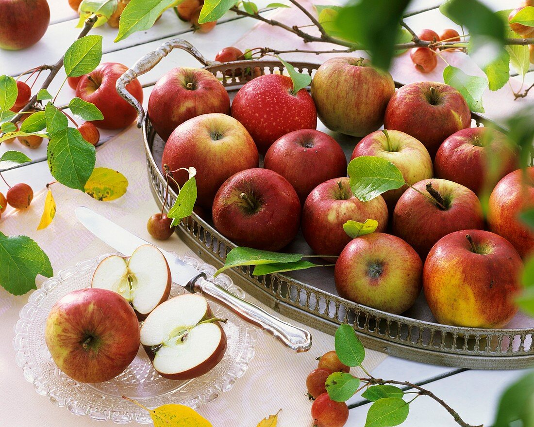 Stillleben mit Äpfeln auf Tablett und Glasteller