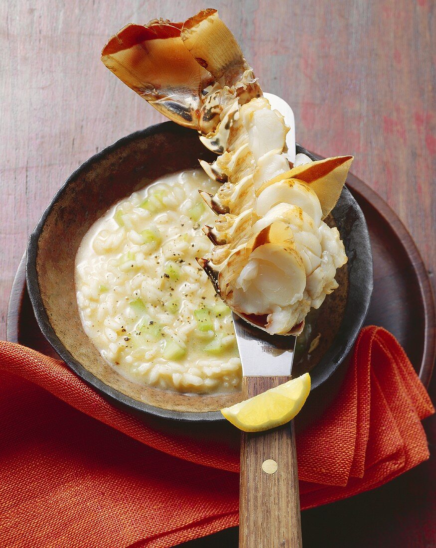 Celery risotto with spiny lobster