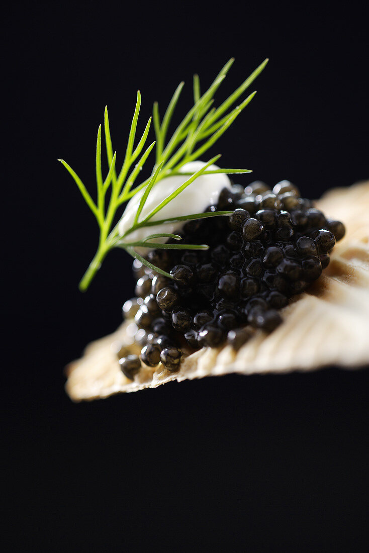Schwarzer Kaviar auf Cracker