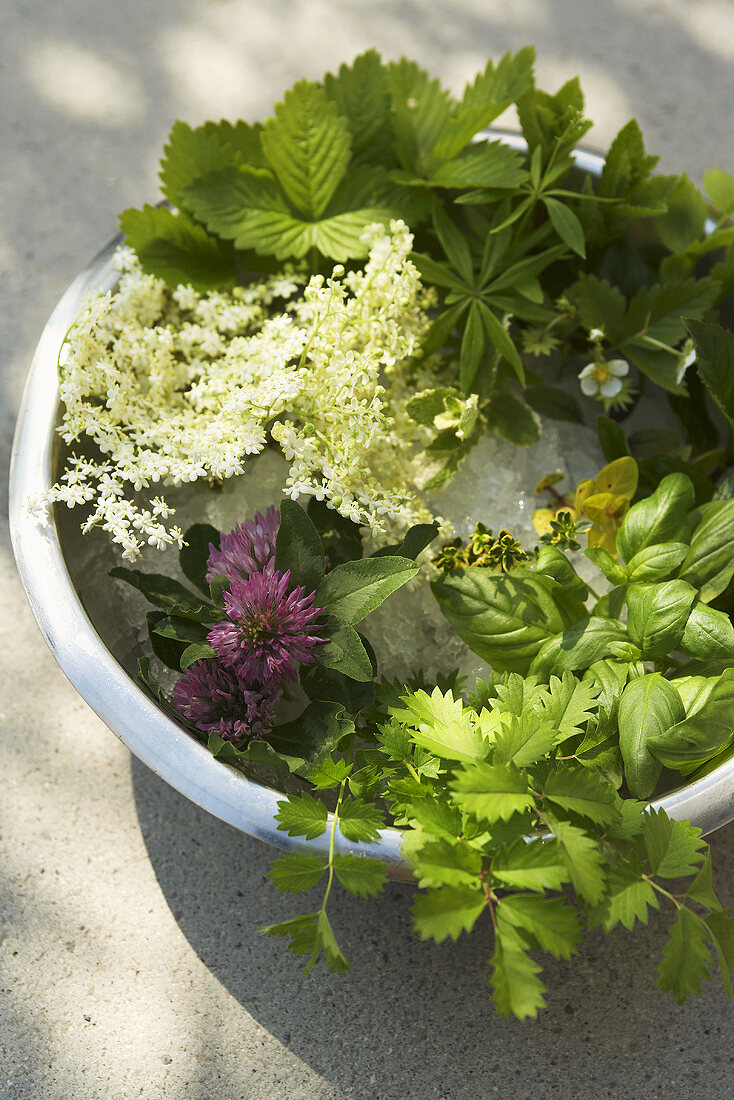 Assorted herbs and flowers in a plastic bowl