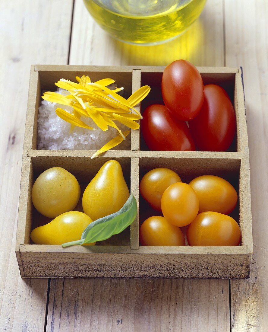 Verschiedene Tomaten und Salz im Setzkasten