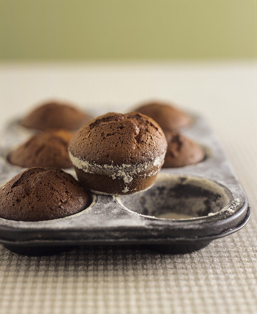 Schoko-Muffins auf einem Muffinblech