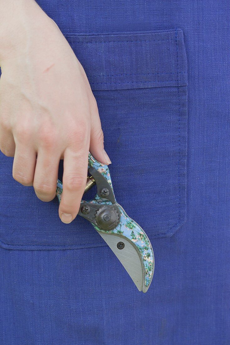 Young woman holding secateurs