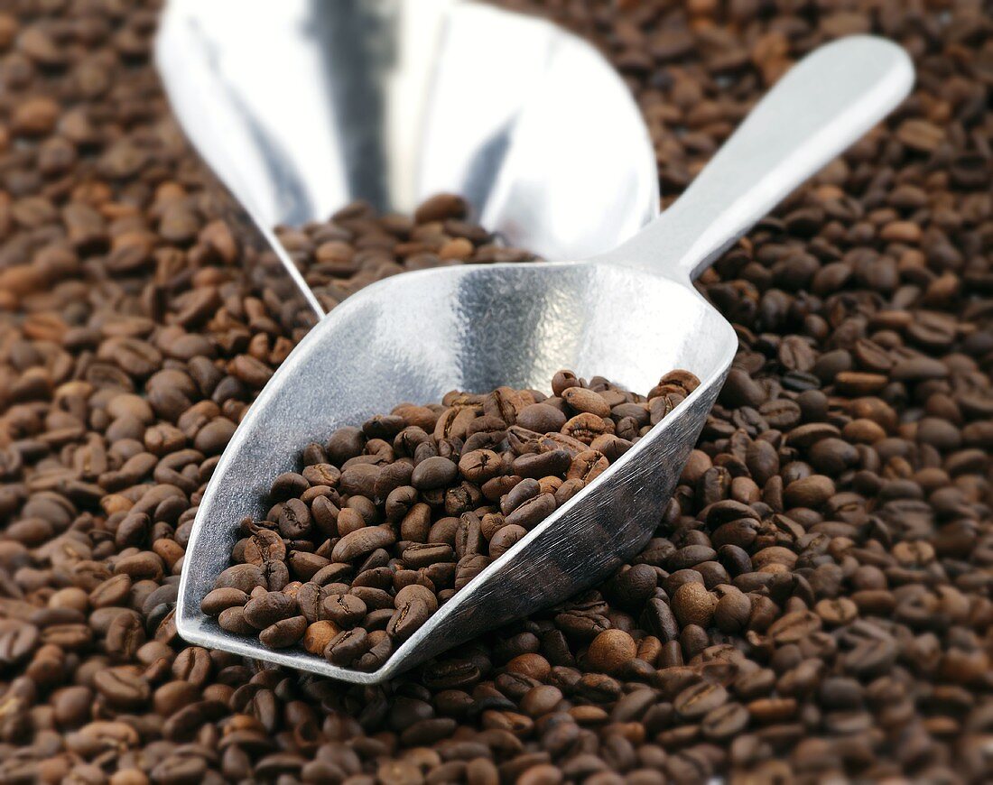 Coffee beans with two scoops (full-frame)