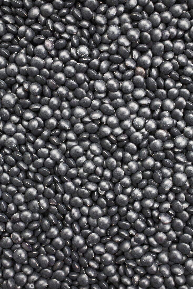 Black Beluga lentils (full-frame)