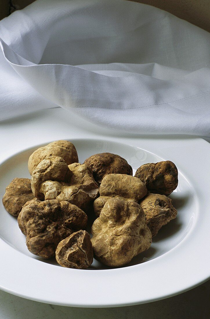 A plate of white truffles