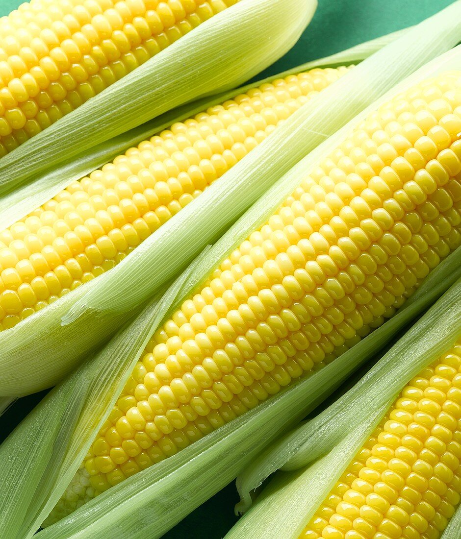 Four cobs of corn