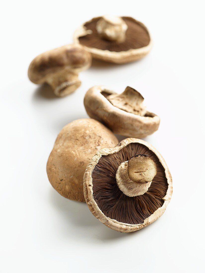 Fünf Champignons