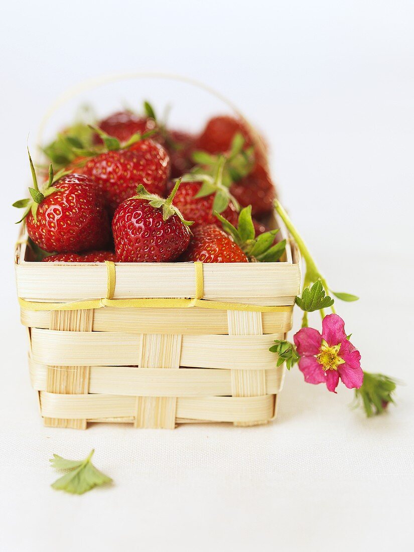 Strawberries in a basket