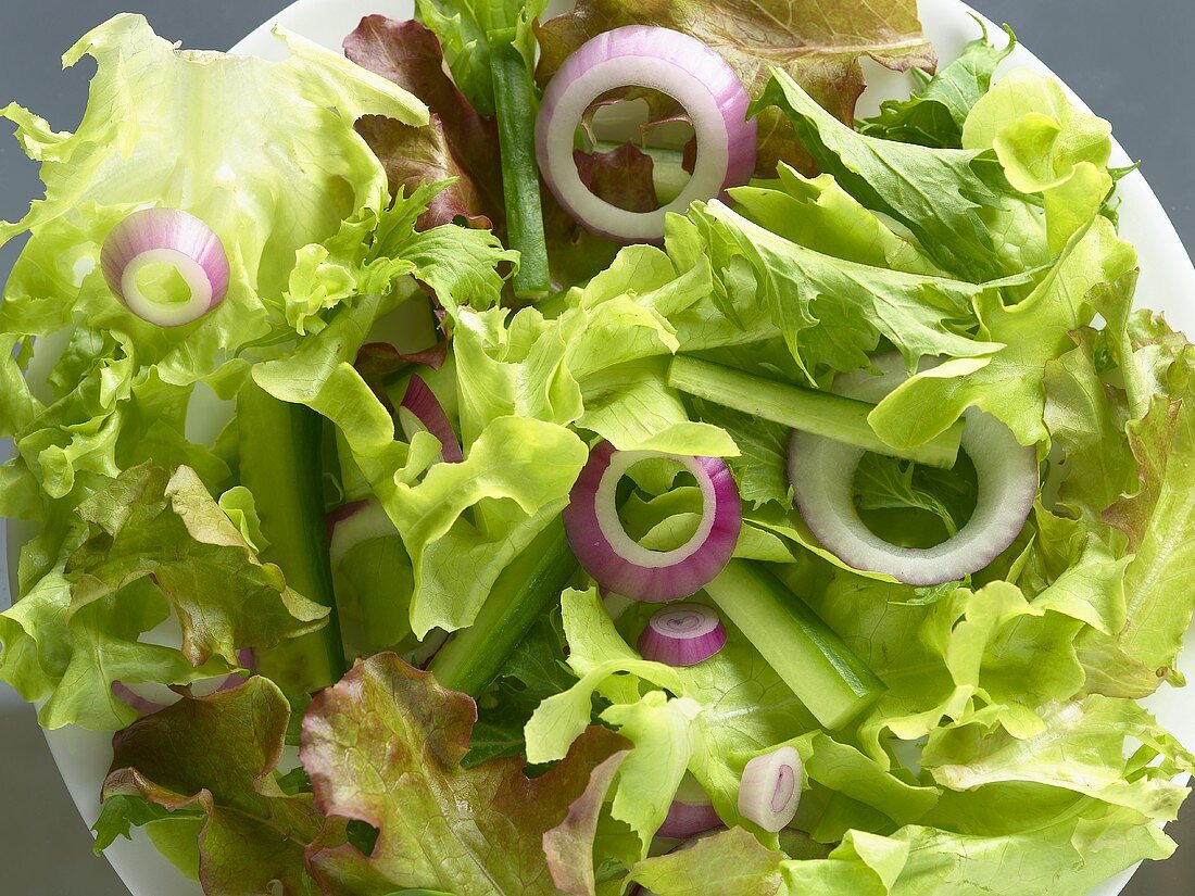 Grüner Salat mit frischen Zwiebelringen