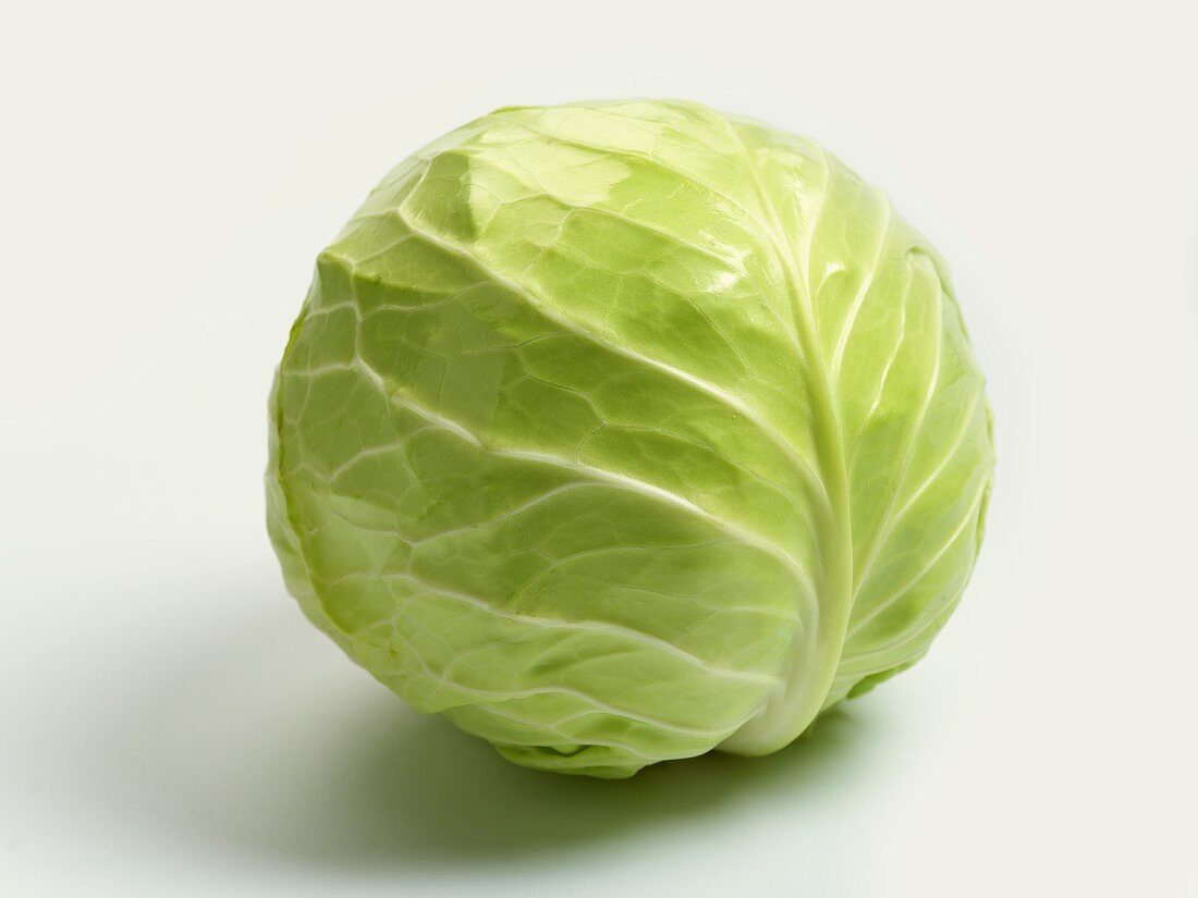 A cabbage