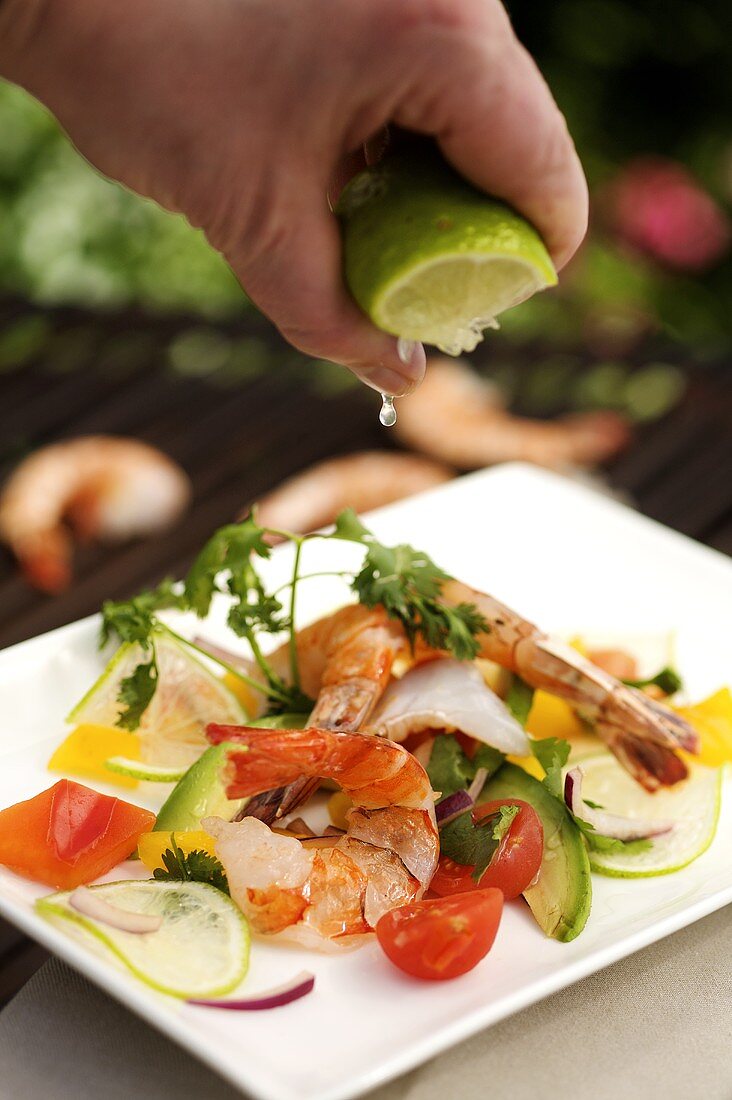 Grilled prawns on vegetable ceviche