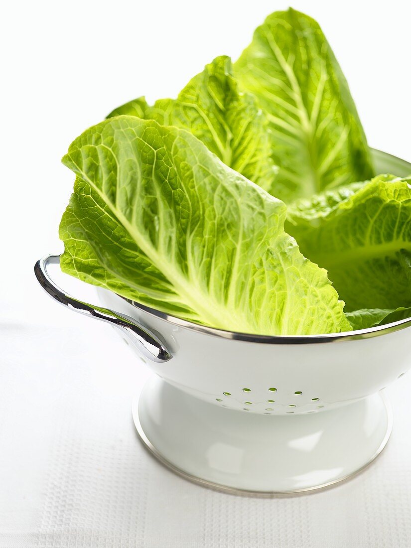 Romaine lettuce leaves in a colander