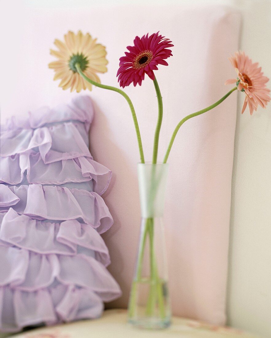 Three gerbera daisies in vase