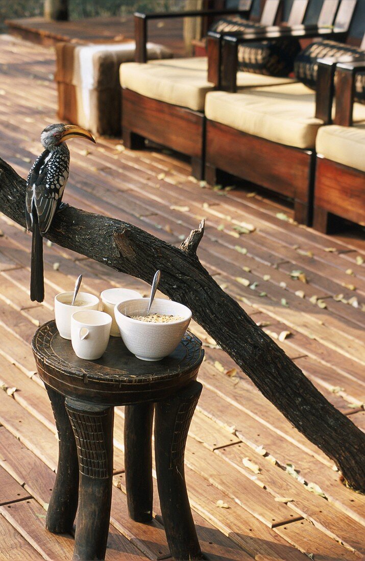 Chairs on veranda