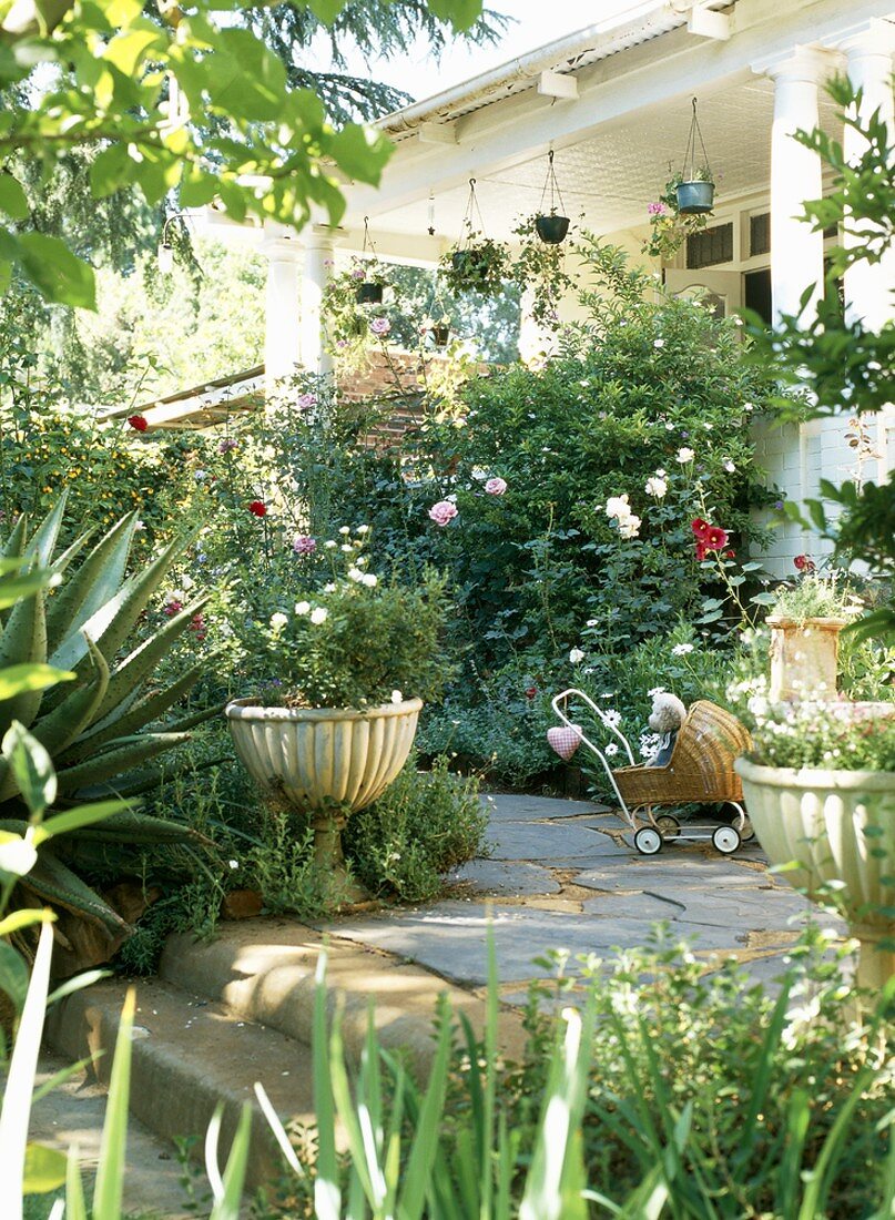 Ein pflanzenreicher Garten