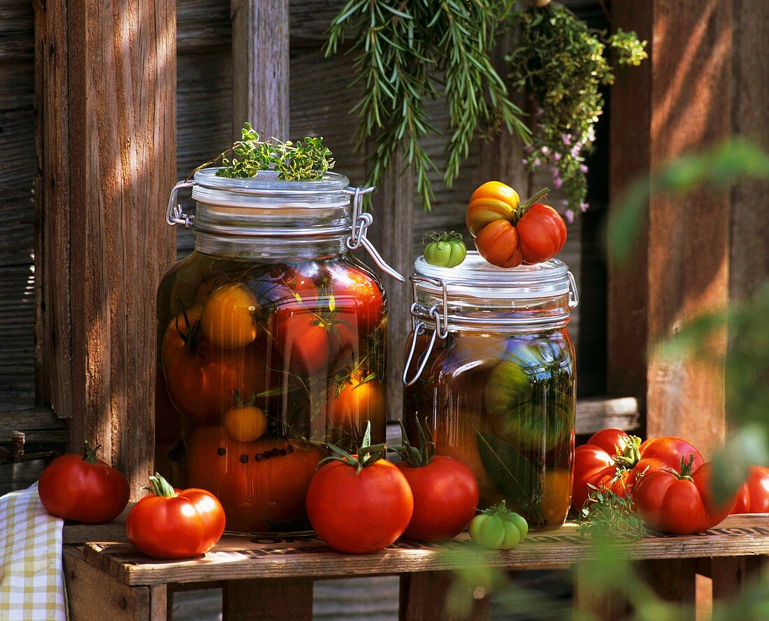 Tomatoes bottled in oil