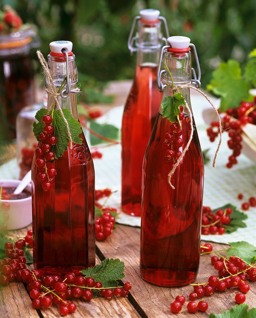 Redcurrant juice in bottles and fresh redcurrants