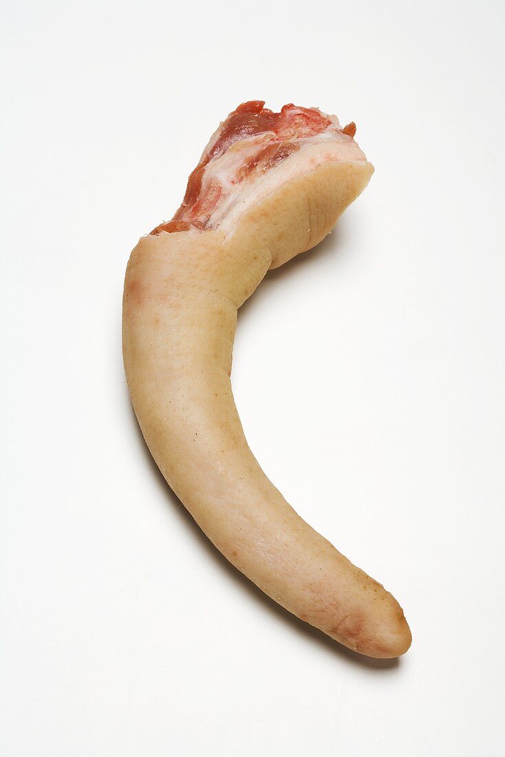 Pig's tail