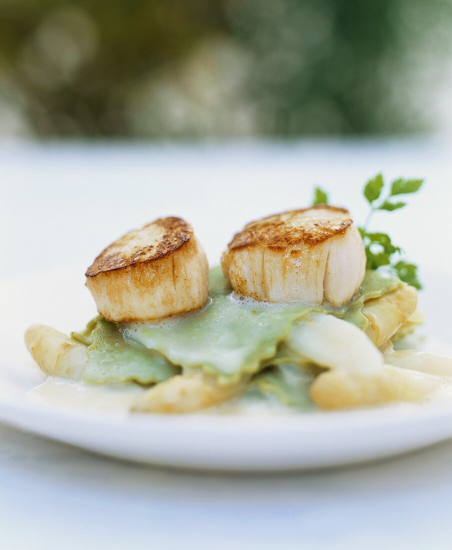 Herb ravioli with asparagus ragout and scallops