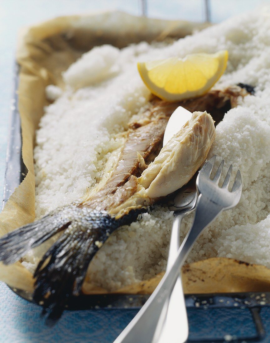 Sea bass baked in salt crust