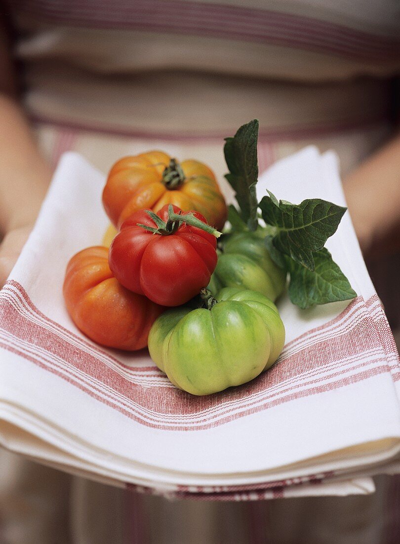 Beefsteak tomatoes on a tea towel