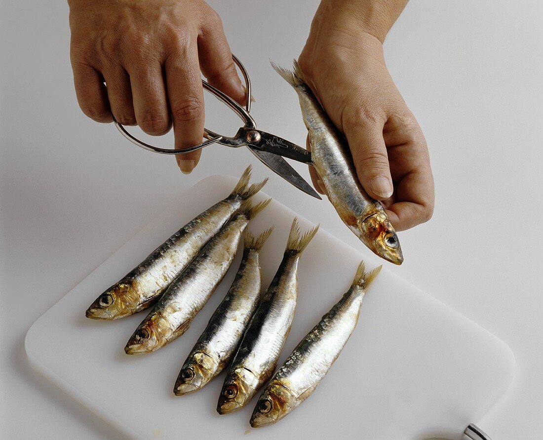 Gutting sardines
