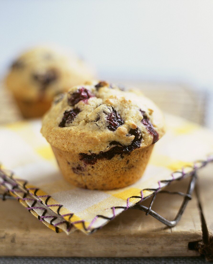 A blueberry muffin