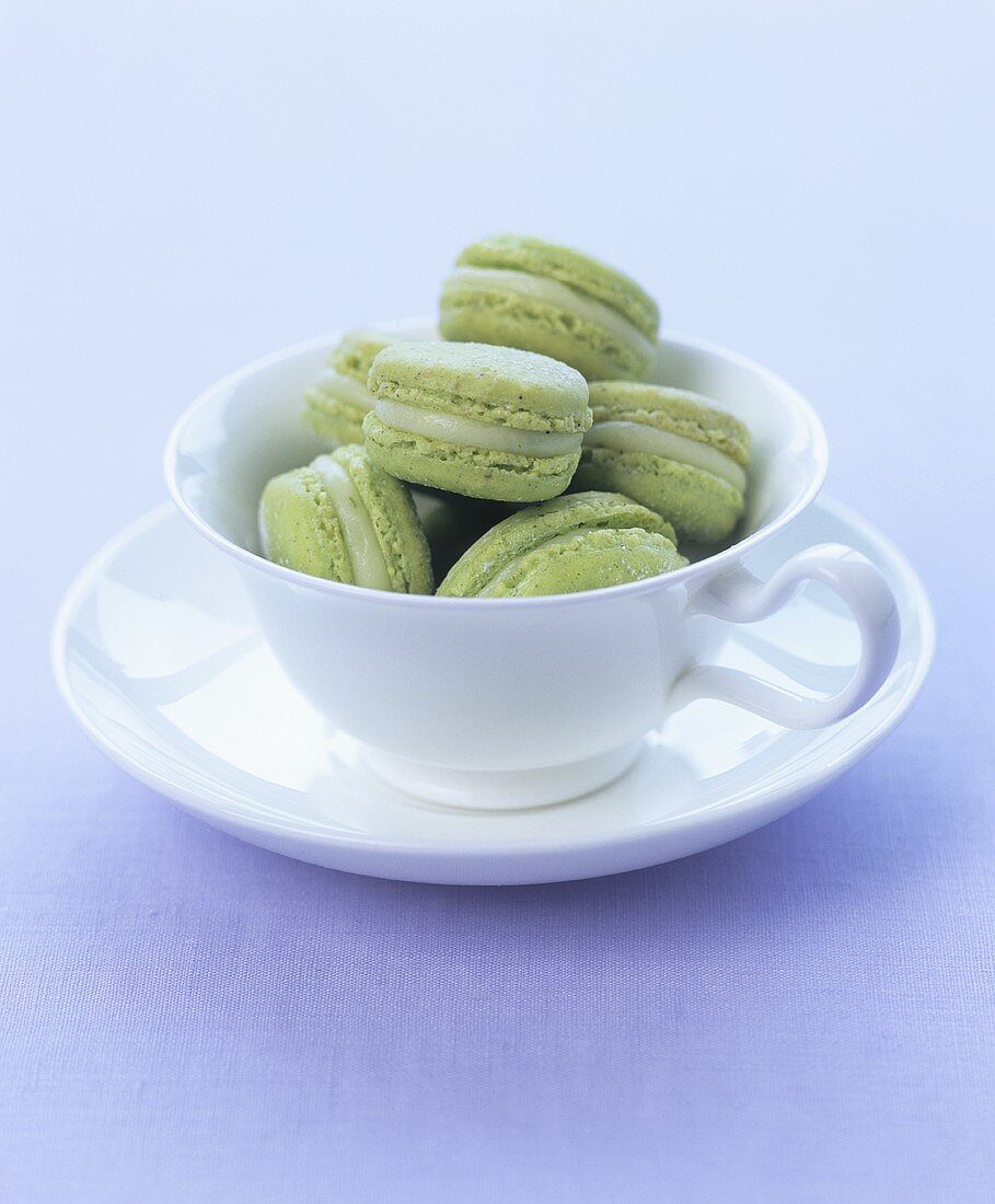 Green tea macarons in a cup and saucer