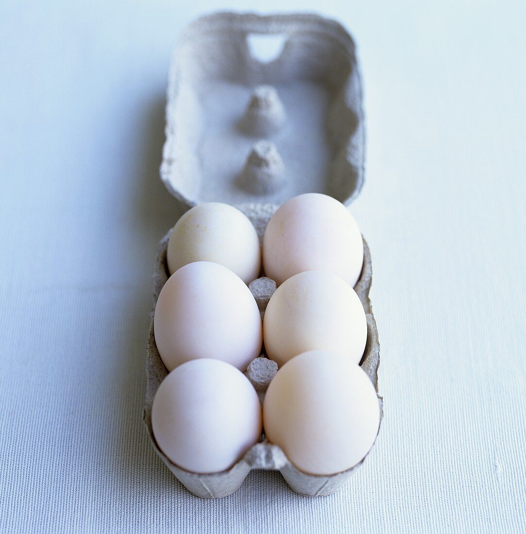 Sechs weiße Eier in einem Eierkarton