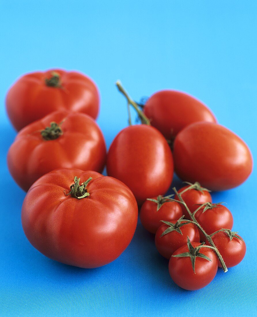 Fleischtomaten, Eiertomaten & Cocktailtomaten